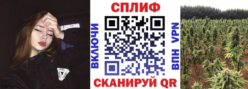 Бошки Шишки индика  продажа наркотиков  даркнет состав  Новосиль 